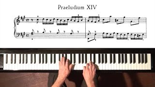 Bach Prelude and Fugue No.14 Well Tempered Clavier, Book 1 with Harmonic Pedal