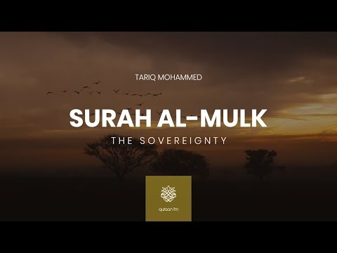 Surah Al-Mulk | Tariq Mohammed | سورة الملك | القارئ طارق محمد