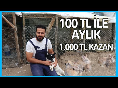 , title : '100 TL YATIRIMLA AYLIK 1000 TL KAZANMAK ! (Tavşan Üretimi Yapmak)'