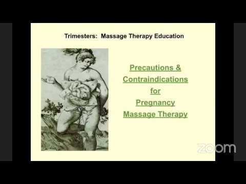 Precautions/Contraindications to Pregnancy Massage. Presenter: Cindy McNeely