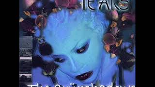 The Cruxshadows - Tears (Fictional Remix)