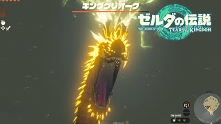か　お　き　も【ゼルダの伝説ティアーズオブキングダム】#28
