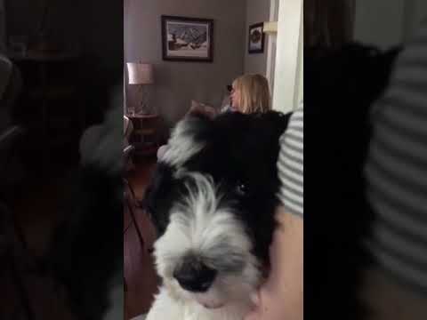 The Diamond Waltz: Hailey Richardson and Rory Coyne with Don Penzien