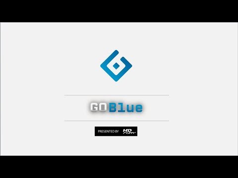 HDfury-GOBLUE product description