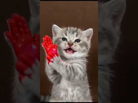 اكااا سينوو 😂 | لعبة الحبار #squidgame 🔥