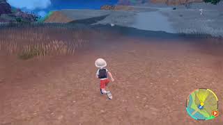 ポケモンSV　垂れ流し