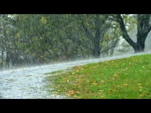 download lagu mp3 mp4 Relaxing Music For Sleep White Noise, download mp3 Relaxing Music For Sleep White Noise free download mp3, download mp3 Relaxing Music For Sleep White Noise