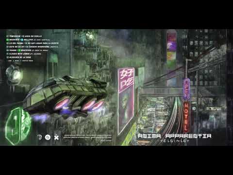 12 - YELSINLEY - Alegoría de la urbe