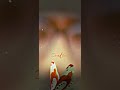 Kadhal Konden Devathayai Kanden Kadhalil Vilunthen Songs Full Screen Video WhatsApp Status ️