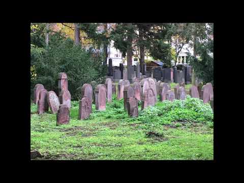Ein unbekannter Ort - Der jüdische Friedhof
