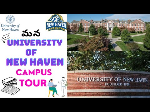 University of New Haven Tour🎓🏫@AnuPree-Vlogs