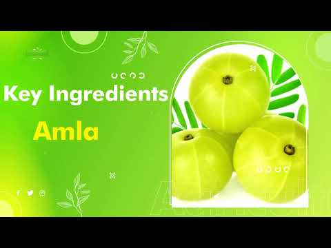 Herbal Amla Capsules, Packaging Type: Bottle, Grade Standard: Medicine grade