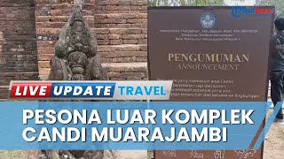 Pesona Luar Komplek Candi Muaro Jambi, Terluas di Indonesia dan Asia Tenggara Mencapai 4 Ribu Hektar