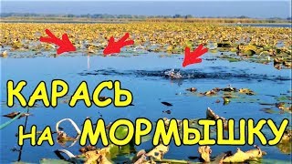 Ловля летом на мормышку с поплавком