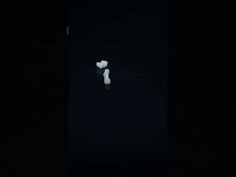 YouTube 썸네일