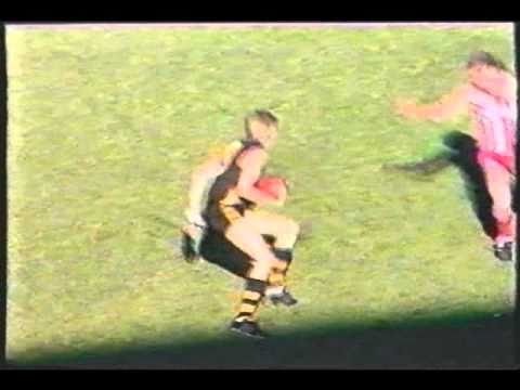 1985 grand final, Glenelg highlights