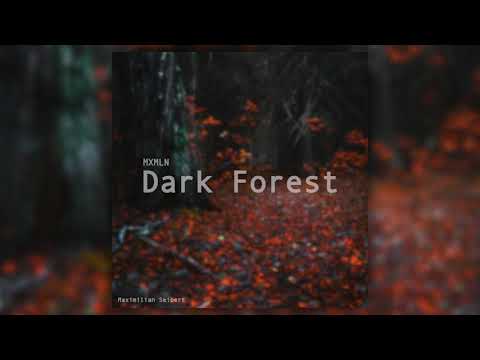 Dark Forest - MXMLN