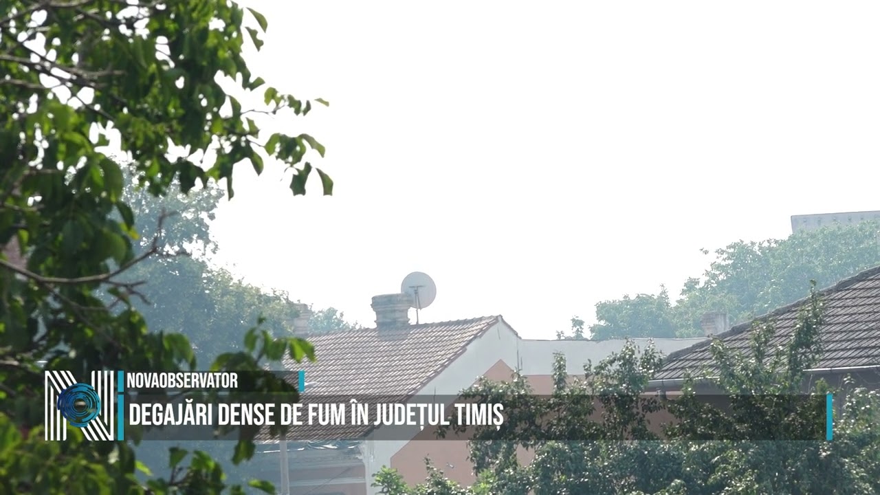 Degajări dense de fum în județul Timiș