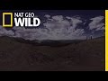 360° - Zen-Out at Yellowstone National Park | Wild Yellowstone