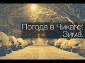 Погода в Чикаго зимой. Погода в Чикаго. Зима 2013. 