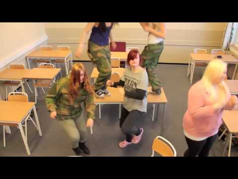 Den ville naturbruksgjengen (kvs lyngdal)