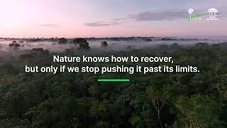 Celebrating #BiodiversityDay.