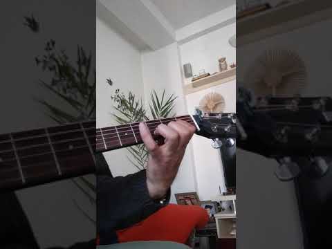 Mlada lepa i pametna Galija(cover)