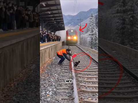 He Didn't Expect THAT to Happen!🥺#train#rescue#respect