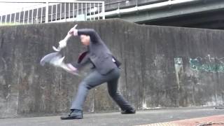 faze tari demonstratie bataie