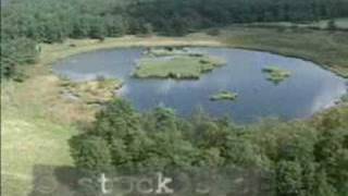 preview picture of video 'Aerial shots Dwingeloo National Park, The Netherlands'