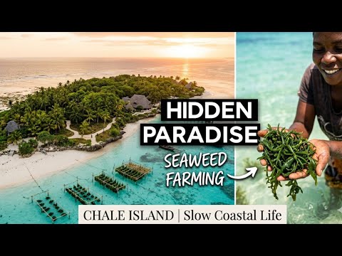 Exploring Chale Island 🌊 | Seaweed Farming & Coastal Life in Kenya