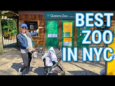image-Is the Queens Zoo free on Wednesdays?