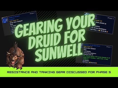 Are you Geared for Sunwell? - TBC Classic - Feral Druid
