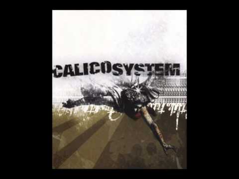 Calico System - Resilience in Time