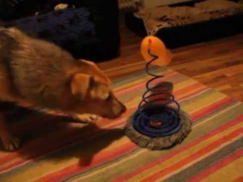 Nasiba und der Luftballon