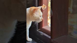 Glass: The only thing saving you right now. 💎