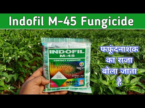 Indofil M45 Contact Fungicide