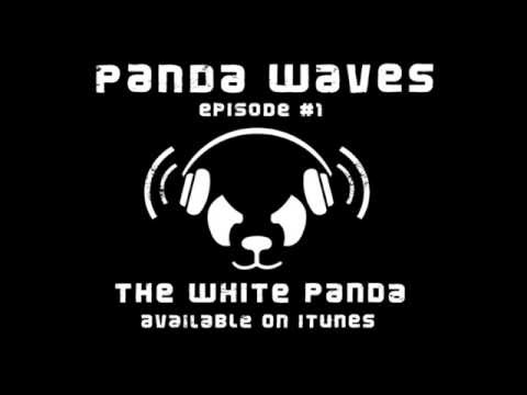 The White Panda - Panda Waves Ep. 1 Podcast