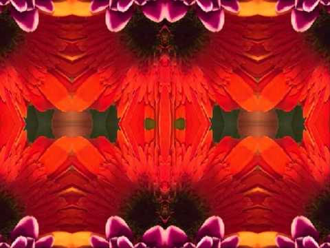 Jimmy Sanchez (by the Bap Kennedy Trio live in Italy 2015)