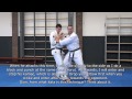 Wadokai Karate seminar: What is Noru?