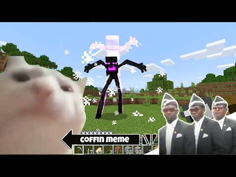 Coffin Meme but Cat is Vibing Part 6 - Minecraft