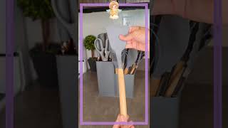 17 de novembro de 2025