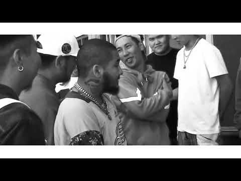 113 WHEN I DIE, I BECOME A TREE