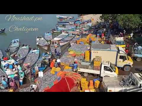 Tday At Kadalundi Nagaram Beach..spectacular view...Waah...