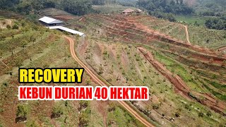 Download lagu 40-Hectare Durian Orchard Recovery in Tasikmalaya mp3