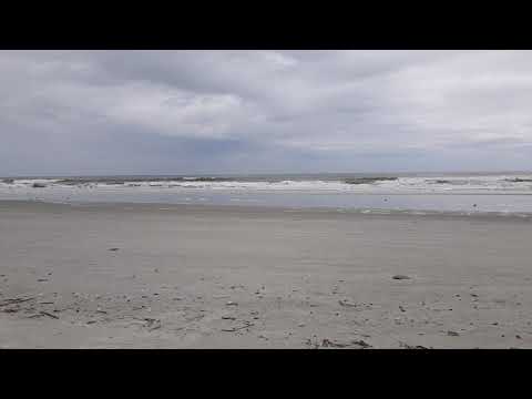 Video of the inviting waves on Cumberland Island Beach