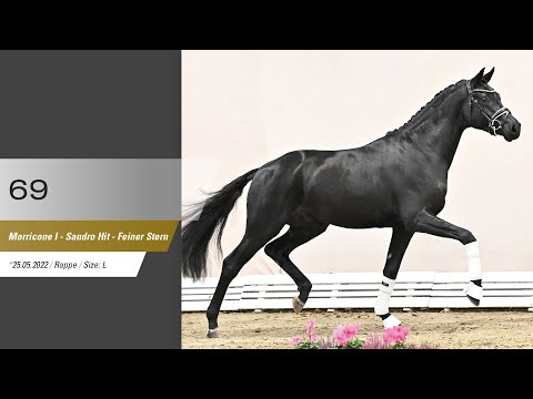 69 Hengst v Morricone I - Sandro Hit