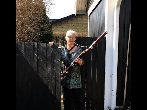 Et instrument med seks dele og et rør. Hør Signe fra Copenhagen Phil fortælle om fagotten