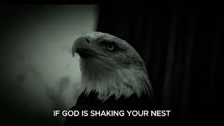 If god shakes your nest