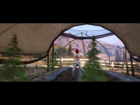 Shafta x Yami (Jungle) x Gorro / My Negga Ka Dilé / prod by Family Kiing gta 5